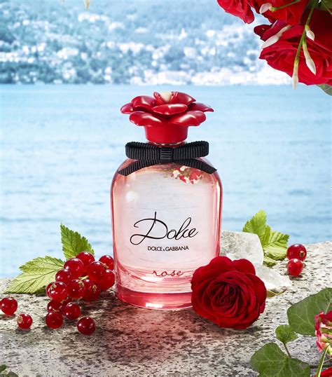 dolce and gabbana rose.